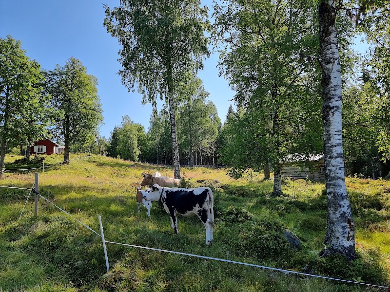 Säterrundan på Kårebolssätern