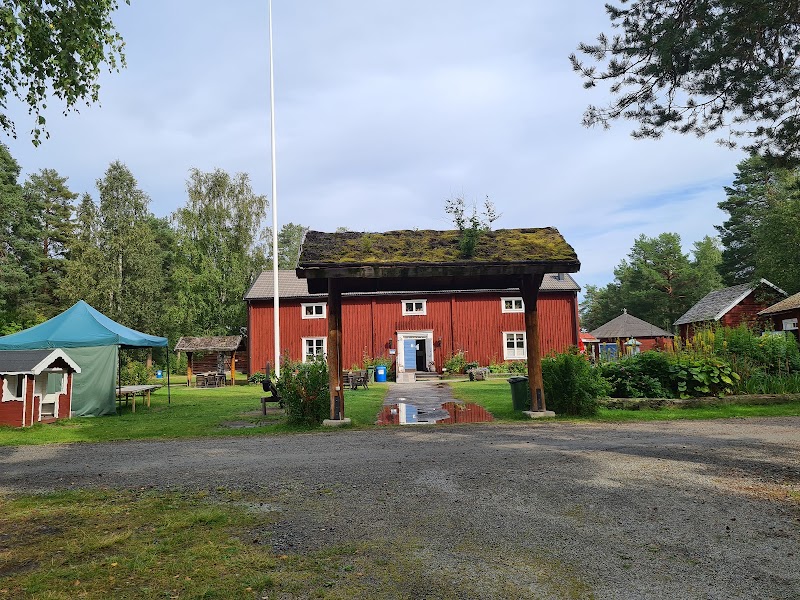 Föreläsning: Ett bipolärt hjärta — Rebecca Anserud