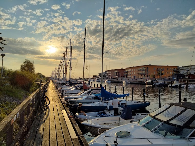 Dagens snabbkoll: väder, sommarfriidrott och vad som trendar