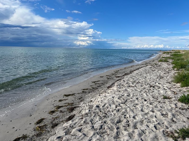 Sandskulpturtävlingen i Falsterbo lockade många trots vädret