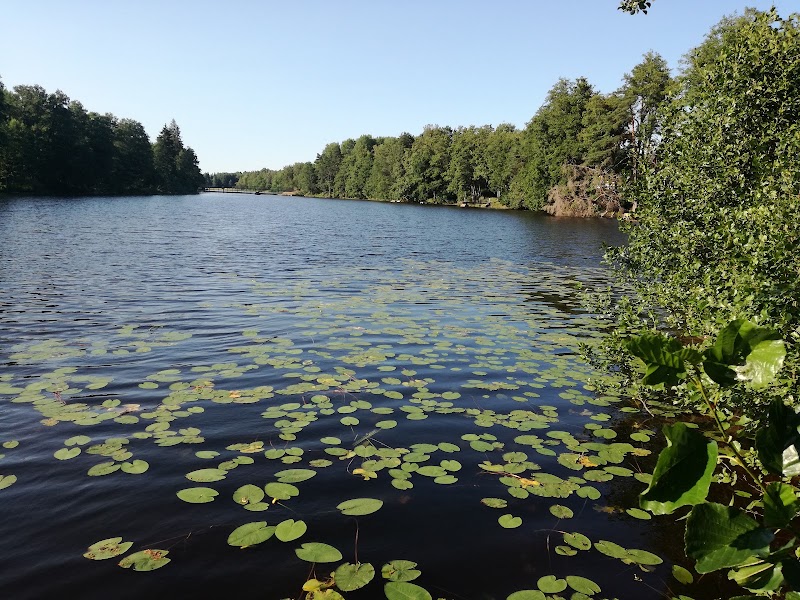 Soligt och klart — dagens snabba överblick