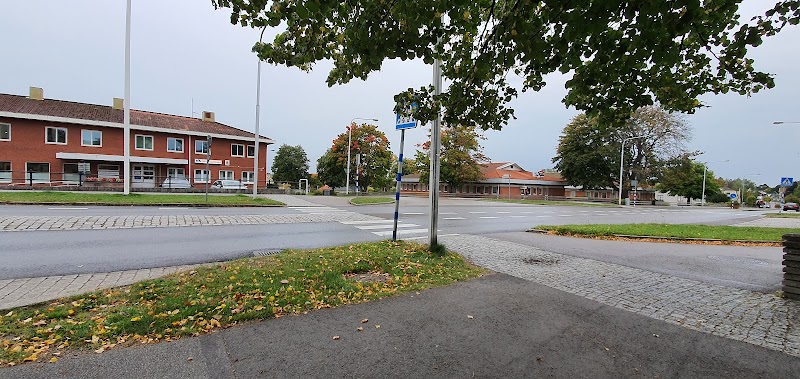 Fredagskollen: väder, temadagar och korta nyheter