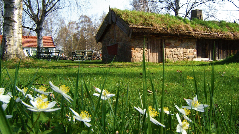 Filmvisning utomhus i Fornbyn