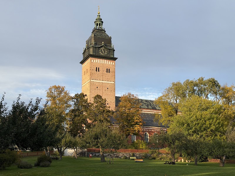Snabbt om vädret, temadagarna och vad som händer i världen