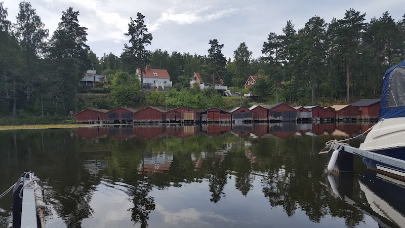 Dagsöversikt: väder, konserter och snabba nyheter