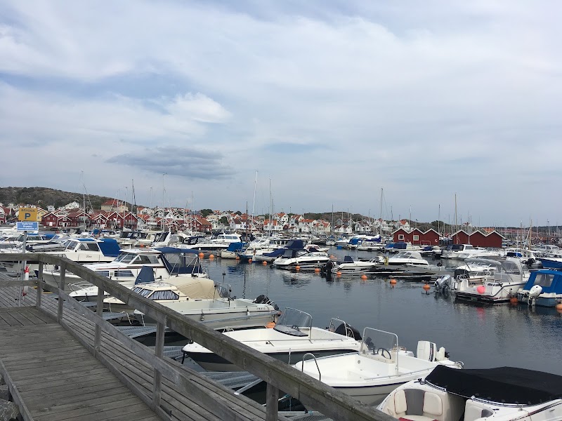 Marina kolonilotter med Per Knutsson