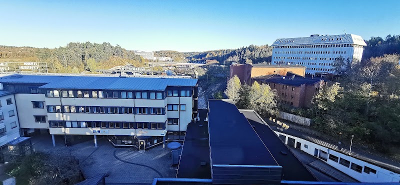 Snabbt om väder, evenemang och nyheter
