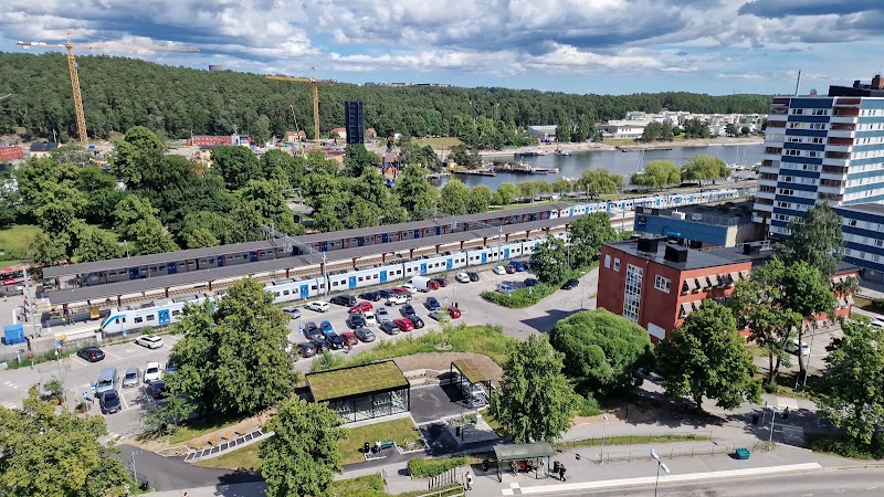 Sol, vattenmelon och kulturpremiärer — dagens snabba