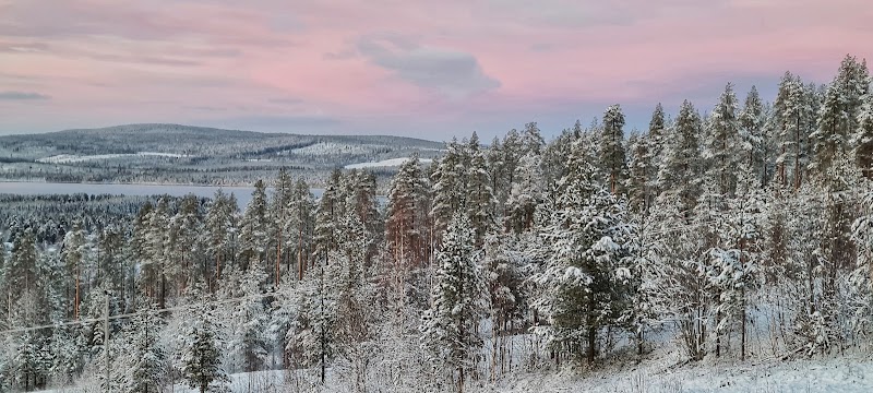Tyskpar i Malå visar en mer nyanserad bild av Sverige