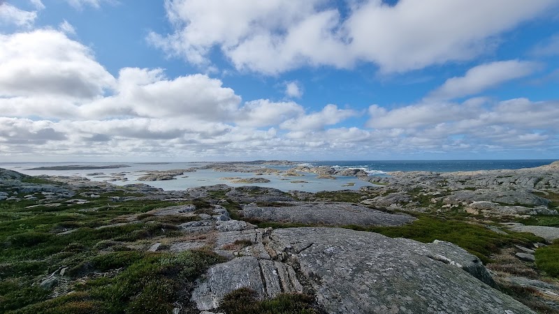 Blomstervandring på Härmanö