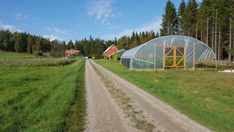 Upptäck Björnhyltans trädgård – guidning, musik och trädgårdskafé