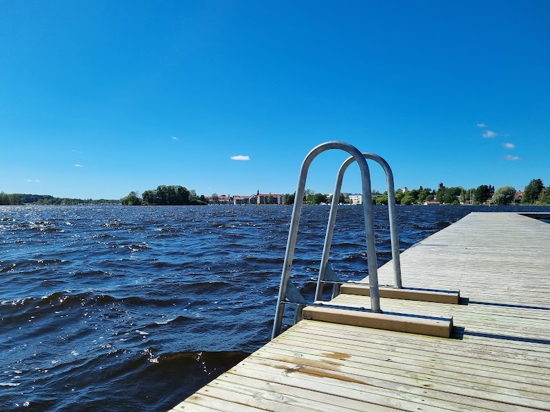 Avrådan från bad i Alsen efter misstänkt algblomning