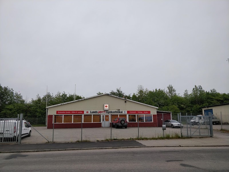 Karate för barn 9–10 år under sommarlovet