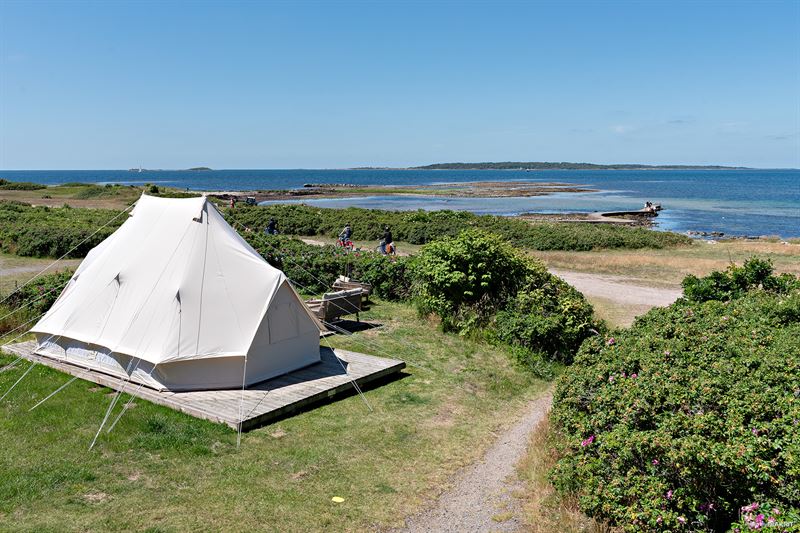 Glampinglyft gav rekordsommar för First Camp i Torekov