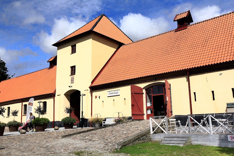 Sommarlov i Torup med Clownen Cito