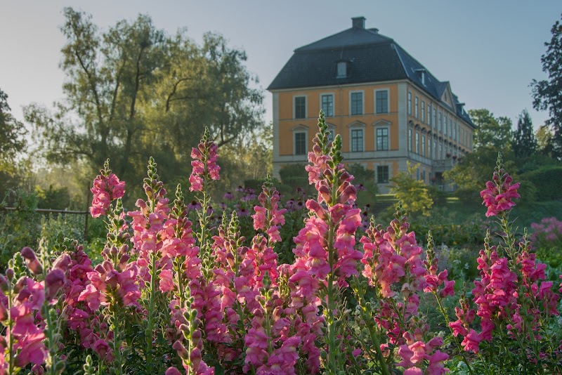 Sommarlabb med cirkustema vid Nynäs slott