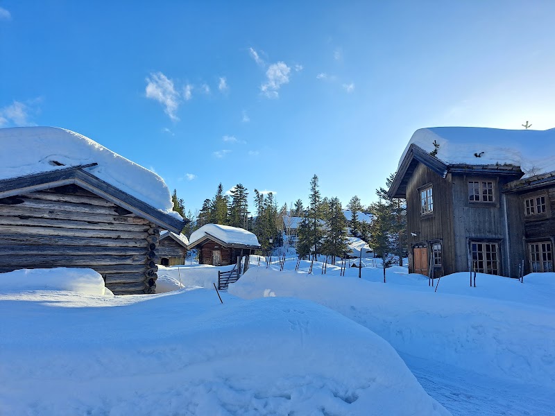 Sälenfjällen: kommunens motor, utmaningarna och vägen framåt