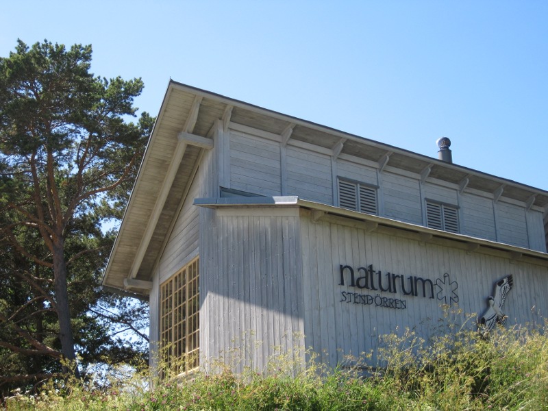 Rovdjur i Sörmland