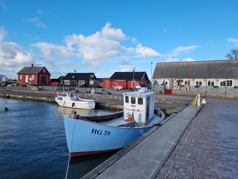 Viken: kustarvet, vardagsservicen och centrumplanerna som formar vår ort