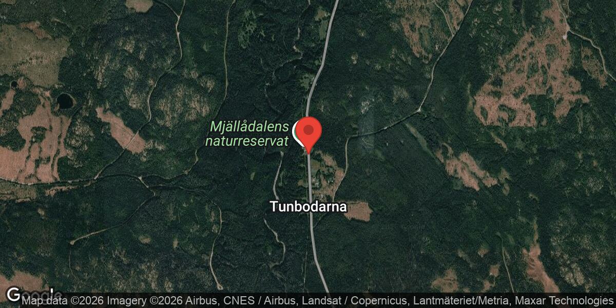 Singelolycka på väg 331 vid Tunbodarna orsakar stor påverkan
