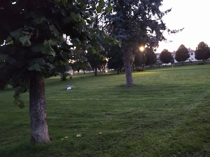 Sommarlovstorsdag i Stadsparken