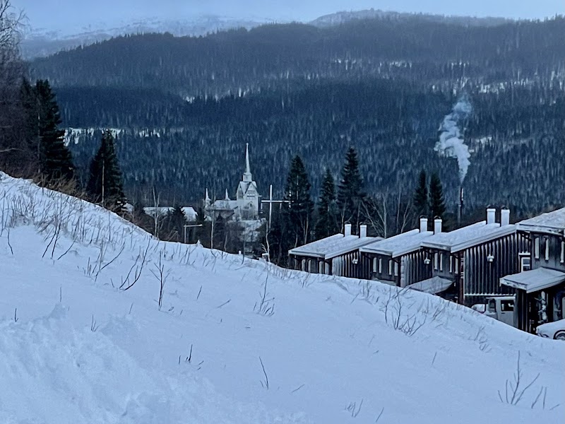 Konstklädda knutar skyddar fritidshus i Åre
