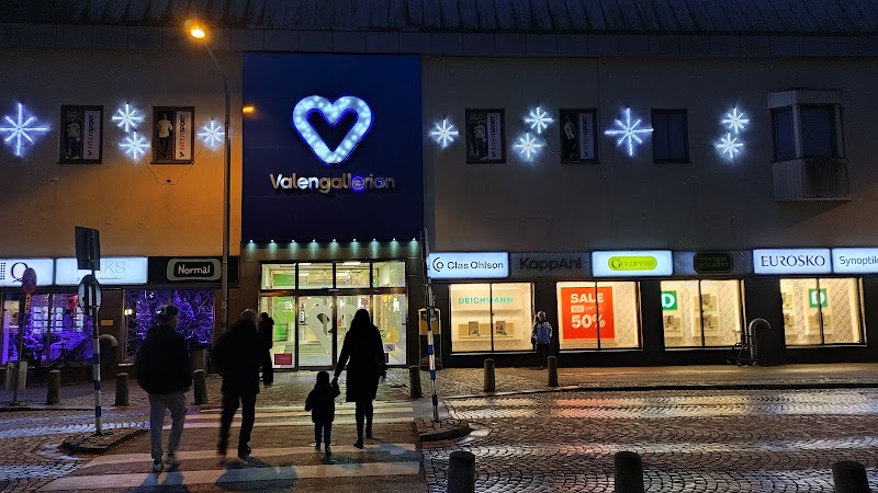 Viktigt inför valet i Trelleborg 2026 – så röstar du