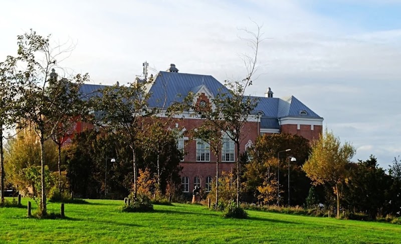 Förstudie föreslås för trång Rosenfredsskola i Varberg
