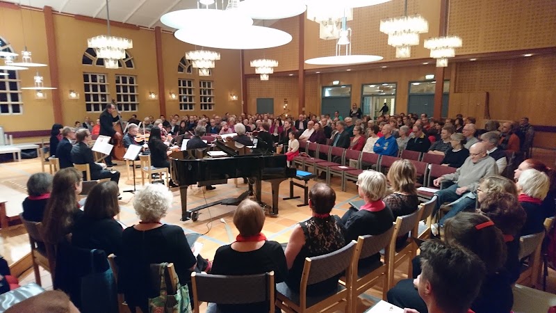 Examenskonsert med Nicolás Zerda