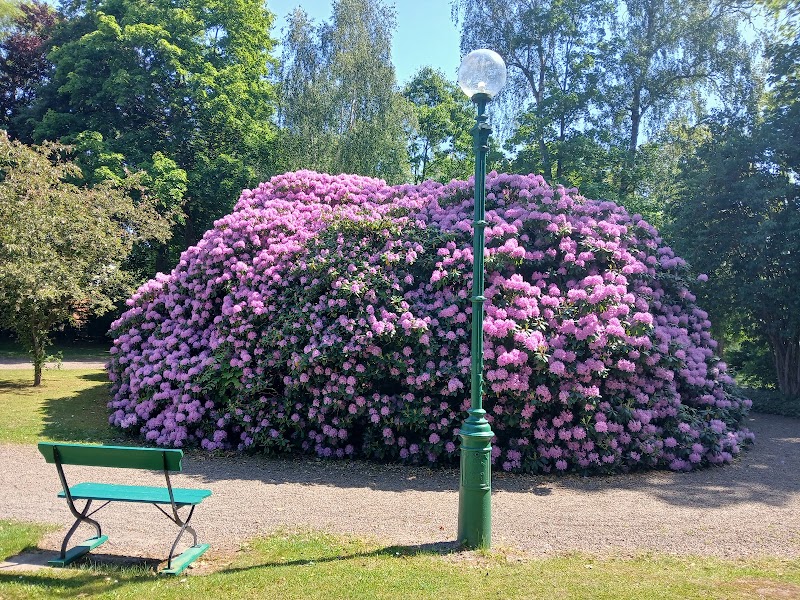 Danskväll med Kjellez i Billesholms Folkets Park