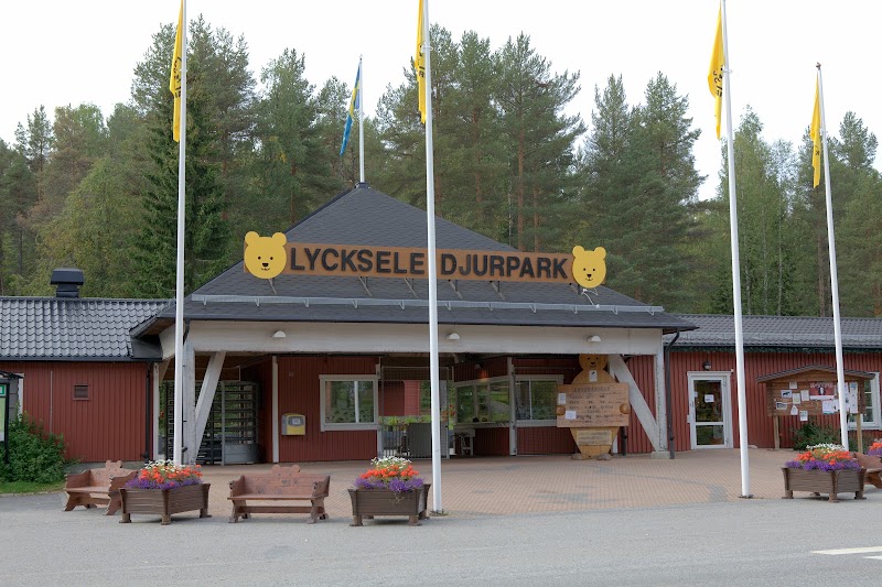 Lycksele djurpark – kommunens flaggskepp på Brännberget