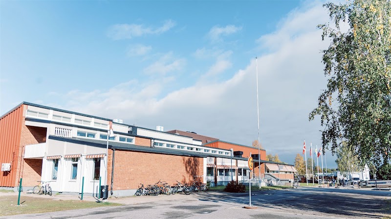 Valpkurs i Kalix – grunder i vardagslydnad