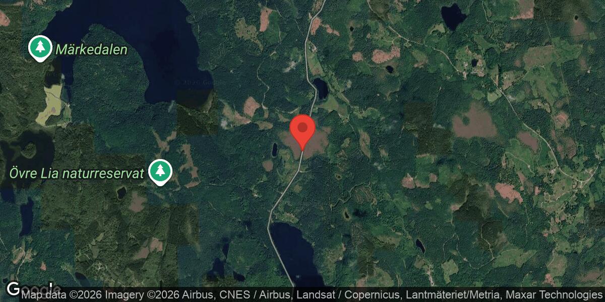 Nedfallet träd blockerade väg 819 mellan Pungen och St Böttås
