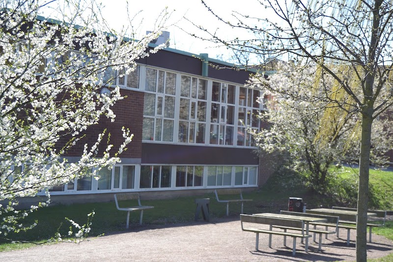Språkcafé på Kirsebergsbiblioteket