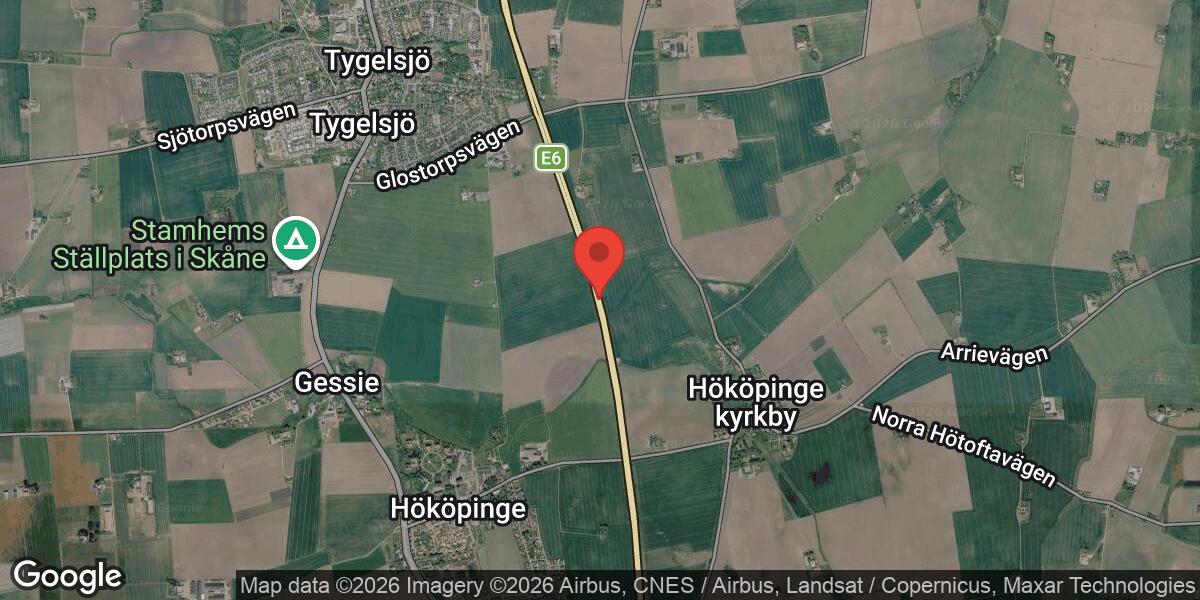 Lösa hundar orsakar stor påverkan på E6 mellan Vellinge och Klagstorp