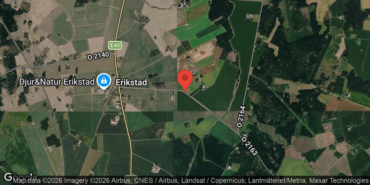 Viltolycka på väg 2163 mellan Erikstad och Bön med stor påverkan