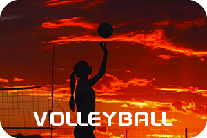 Volleyball Showroom