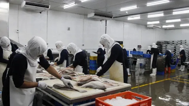 Sala de procesamiento de alimentos Grupo VPAS