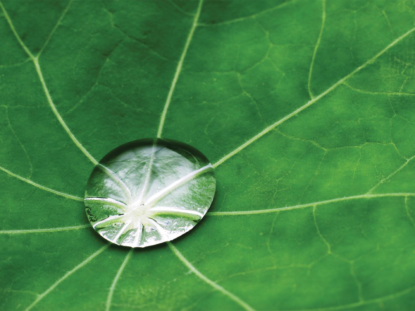 media buying trade publication ad campaign