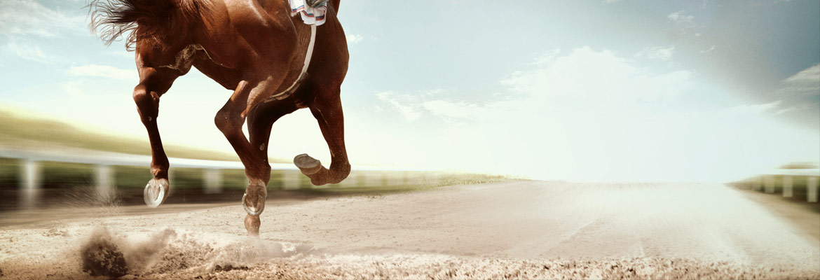 Novocent lead gen generation new business agency 