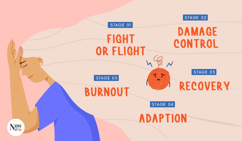 stages of stress graphic