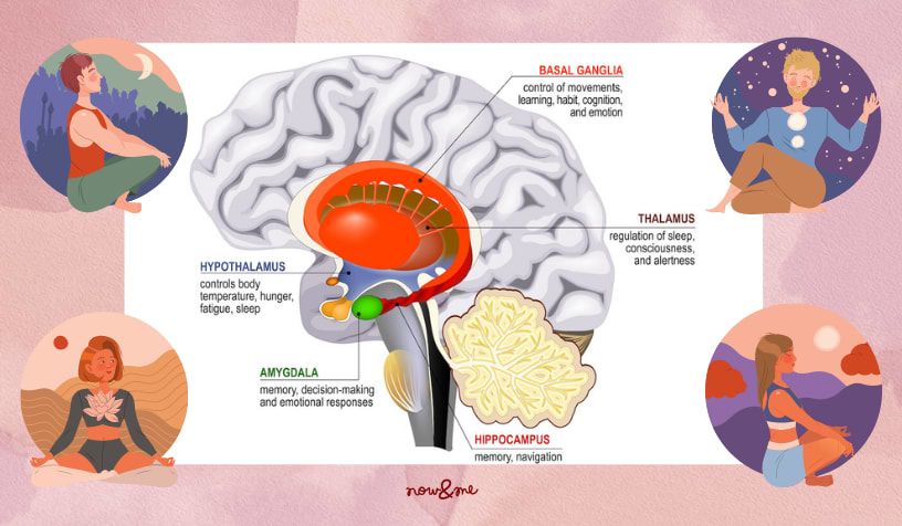 what part of our mind affects what part of our body