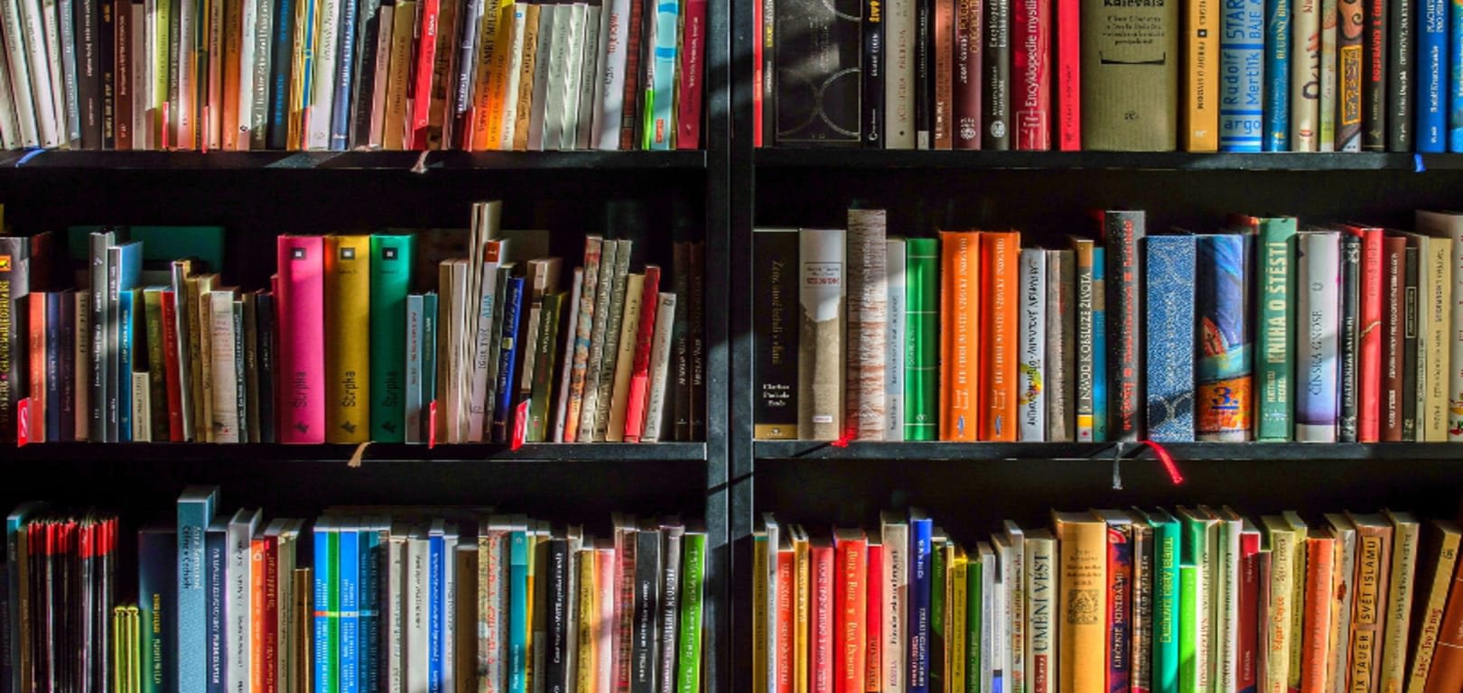 image of a bookshelf