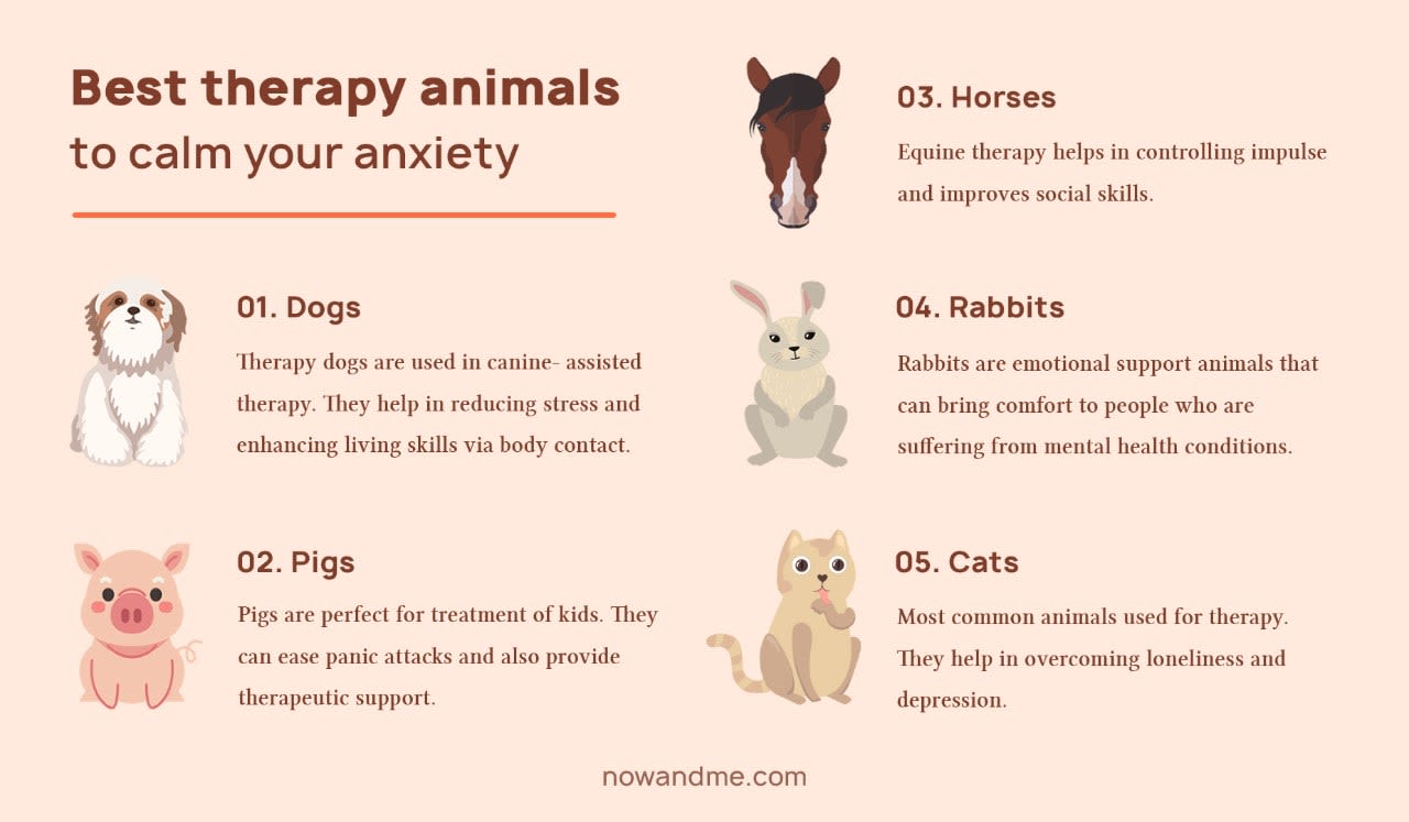 picture describing types of therapy animals