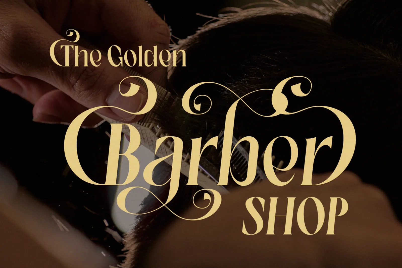 Halind Modern Elegant Serif (preview 5 of 6)