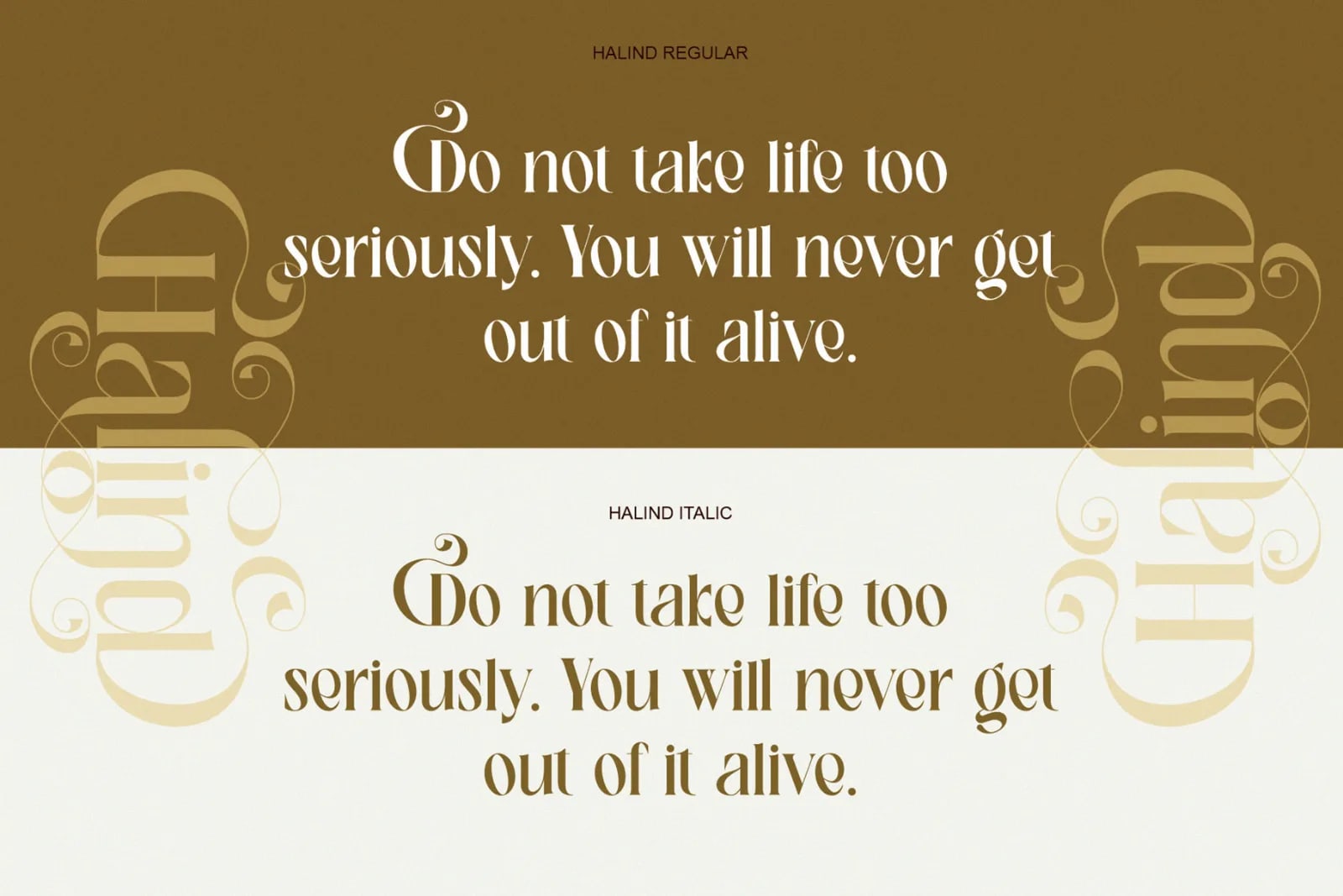 Halind Modern Elegant Serif (preview 2 of 6)