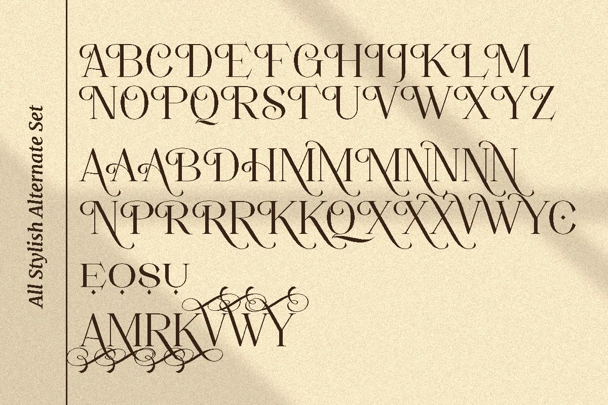 Movich | Uniquely Serif Font (preview 4 of 6)