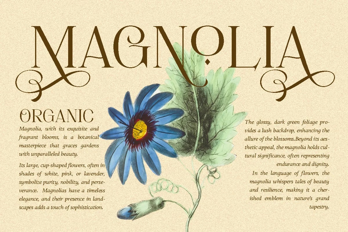 Movich | Uniquely Serif Font (preview 2 of 6)