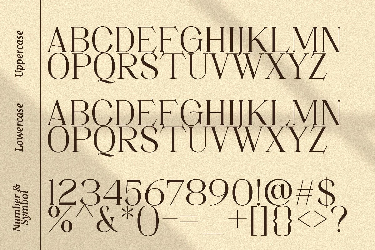 Movich | Uniquely Serif Font (preview 3 of 6)