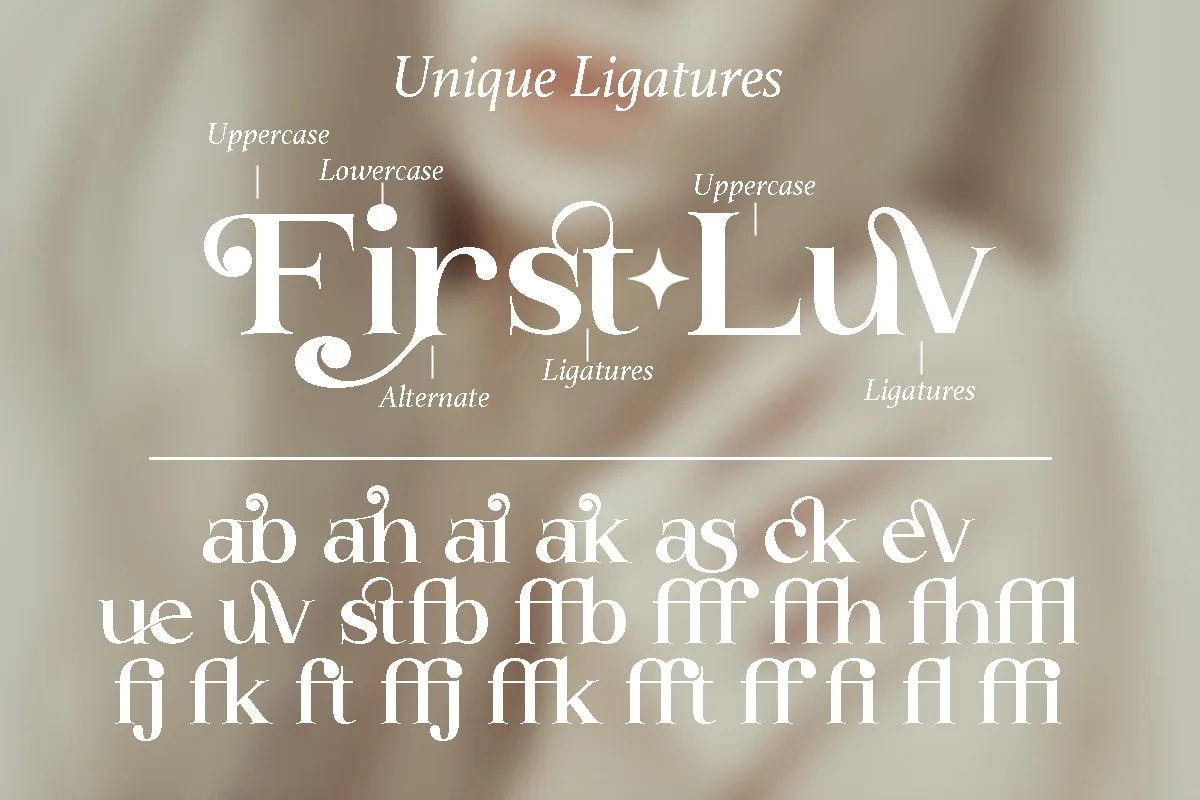 Buckbrush | Elegant Playful Serif (preview 5 of 6)